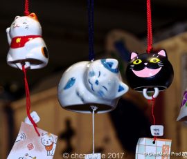 DSC 8481 DxO-1